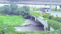 9520 雷達水位計場勘(2)